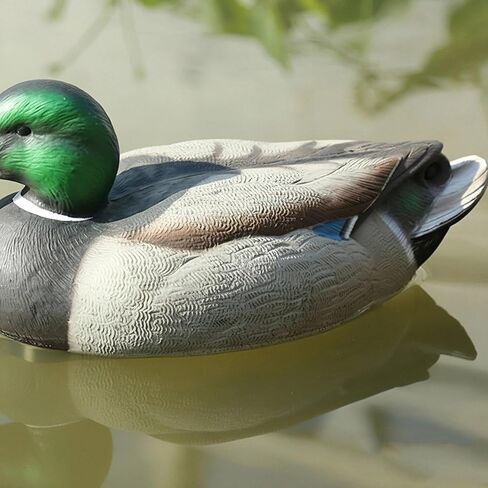 Premium Duck Decoys, Realistic Plastic Hunting Set – Lifelike Waterfowl Decoys for Effective Hunting & Garden Decor, Durable & Easy to Carry in Saudi Arabia