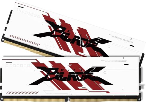 مجموعة PUSKILL 32 جيجابايت (2 × 16 جيجابايت) DDR4 RAM 3200 ميجاهرتز PC4-25600 ذاكرة سطح المكتب مع مبدد حراري من الألومنيوم، UDIMM غير مخزنة بـ ECC 1.35 فولت CL16 288-Pin، ترقية كمبيوتر الألعاب عالي الأداء لـ Intel وAMD in Kuwait