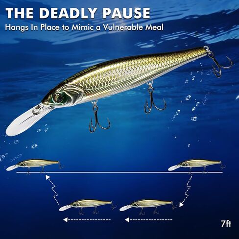 TRUSCEND Suspending Jerkbait, Rattle Minnow Lures with BKK Hooks, Freshwater Bass Trout Striper Walleye Pike Fishing Lures, Variety Pack for All Water Conditions, Premium Fishing Gear and Gifts in Saudi Arabia