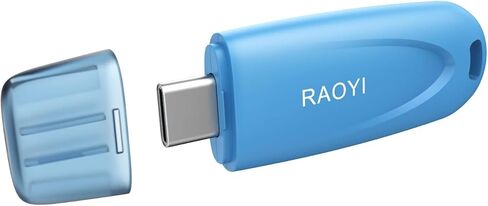 RAOYI 32GB USB C Flash Drive, 2 in 1 USB 3.0 Type C Dual OTG Metal Thumb Drive Jump Drive Memory Stick with Keychain Suitable for USB-C Smartphones, MacBook, Computers and Tablets (Silver) in Saudi Arabia