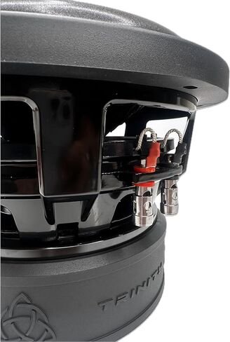 Trinity Audio TAS-B10D4 10" 4500W Dual 4-Ohm Subwoofer in Saudi Arabia