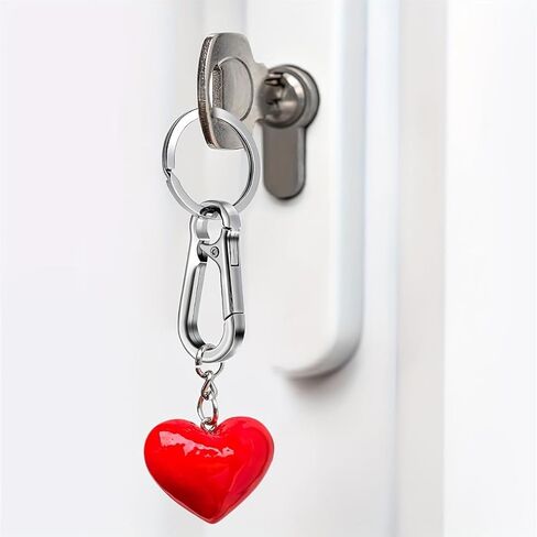 6PCS Durable Metal Keychains - Key Ring and Key Chain Storage Bag - Convenient with Strong Clip and Car Key Hook in Saudi Arabia