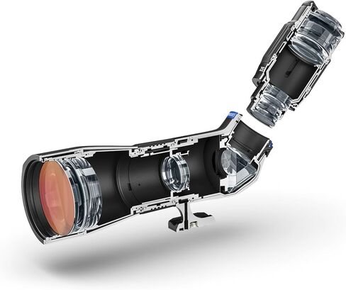 ZEISS Conquest Apia 20-50x65 نطاق اكتشاف بزاوية مدمجة حامل ثلاثي القوائم قابل للتكيف مع نطاق رصد مضاد للضباب لمشاهدة الطيور ومراقبة الحياة البرية والمشي لمسافات طويلة وإطلاق النار على الهدف in Saudi Arabia