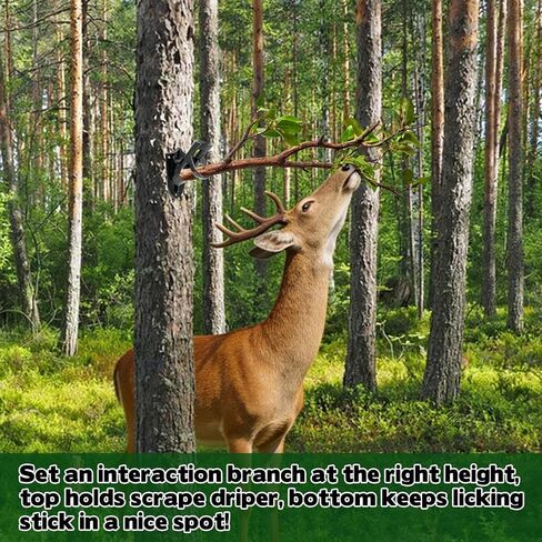 Metal Hunting Tree Branch Holders, 3 Sets Adjustable Mounted Deer Licking Branch Bracket, Slant Base Mock Scrape Kit Deer Hunting Accessories, Two Position Mounting Stainless Branch Brackets in Saudi Arabia