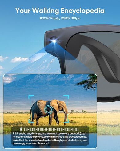 CJkao Smart Glasses with Camera, HD Camera Glasses, Video Recording, Voice Assistant Control Bluetooth Music ai Glasses for Teenager Men Women (G2-Black) in Saudi Arabia