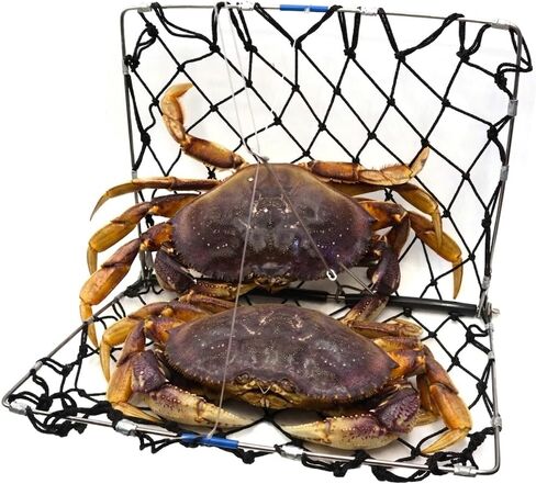 AirFly Foldable Castable Crab Trap - Crab Hawk & Crab Jaw Star Trap with Bait Clip - Portable Fishing Rod Crab Pot for Blue Crabs & Dungeness - Designed in USA in Saudi Arabia