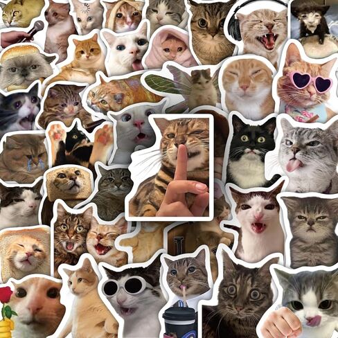 100 Pcs Cat Stickers, Funny Cat Meme for Water Bottles Laptop Scrapbook, Cute Vinyl Kitten Sticker Pack for Kids Adults Teens, Journaling Vision Board Supplies in Saudi Arabia