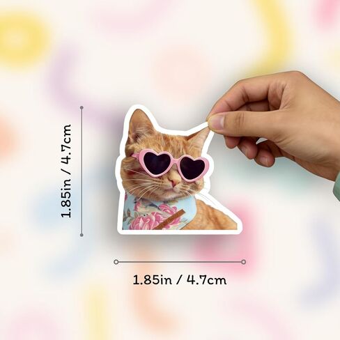 100 Pcs Cat Stickers, Funny Cat Meme for Water Bottles Laptop Scrapbook, Cute Vinyl Kitten Sticker Pack for Kids Adults Teens, Journaling Vision Board Supplies in Saudi Arabia