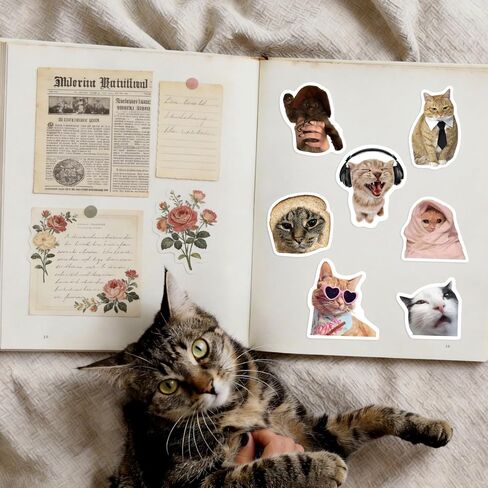 100 Pcs Cat Stickers, Funny Cat Meme for Water Bottles Laptop Scrapbook, Cute Vinyl Kitten Sticker Pack for Kids Adults Teens, Journaling Vision Board Supplies in Saudi Arabia