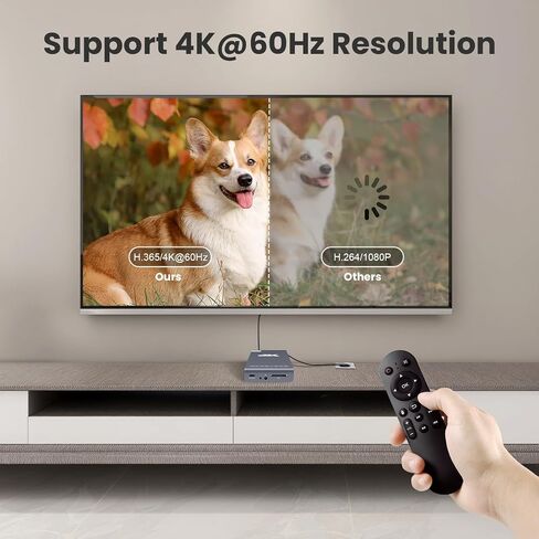 مشغل وسائط رقمي بدقة 4K وحاوية محرك أقراص ثابتة 2 في 1، مشغل فيديو MP4 فائق الدقة بدقة 4K@60 هرتز لمحرك أقراص USB من النوع C/بطاقة SD، ولافتات رقمية، H.265/HEVC، تشغيل تلقائي متكرر، مخرج HDMI/AV in Saudi Arabia