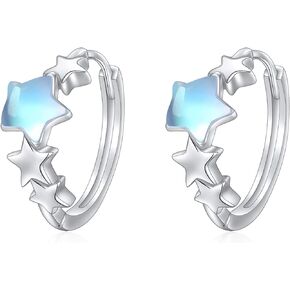 POPLYKE Sterling Silver Hoops Earrings Small Huggie Earrings Jewelry Gift for Women
