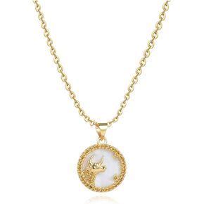 Luluadorn Gold Zodiac Necklaces for Women Red Yellow Green Clear CZ Aries Taurus Gemini Cancer Leo Virgo Libra Scorpio Sagittarius Capricorn Aquarius Pisces Birthday Anniversary