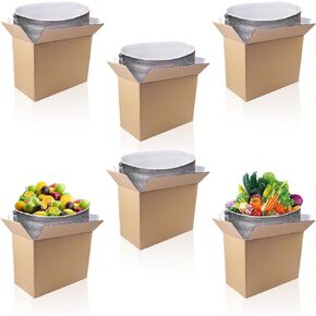 Insulated Shipping Boxes with Aluminum Foil Insulated Bag Liner-11" x 6.1" x 7.87" (6 Pack),Reusable Hot & Cold Carton Moving Kits for Shipping,Mailing,Packing
