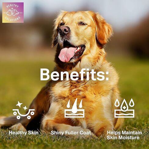 Salmon Oil Bites for Dog Skin and Coat - Supplement Supports Healthy Skin & Glossy Coat - Enhanced with DHA, EPA, Omega-3 & Omega-6 - for Dogs & Cats - 180 Soft Chews - Made in USA in Kuwait