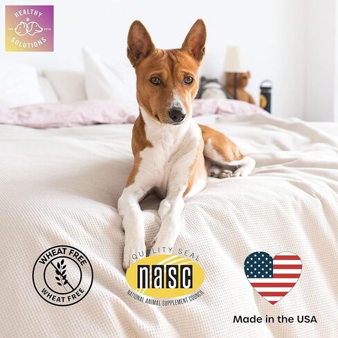 Salmon Oil Bites for Dog Skin and Coat - Supplement Supports Healthy Skin & Glossy Coat - Enhanced with DHA, EPA, Omega-3 & Omega-6 - for Dogs & Cats - 180 Soft Chews - Made in USA in Kuwait