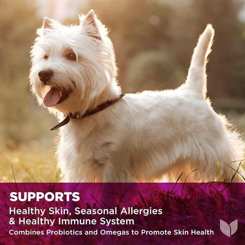 هايلاندز ناتشورالز - صحة الجلد الاحترافية للكلاب، 90 قطعة مضغ ناعمة، تدعم البشرة الصحية والحساسية الموسمية والجهاز المناعي، مع البروبيوتيك وأوميغا 3 ونكهة سمك السلمون المرقط in Kuwait