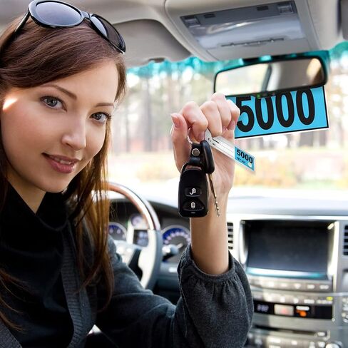 Versa-Tags 1000 Blue Car Dealer Service Hang Tags Service Dispatch Numbers, Service Department Numbered Key Tags for Mechanic Repair Shop 3 Part Key Ring - Blue (000-999) in Saudi Arabia