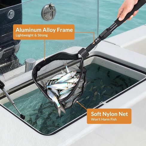 QualyQualy Floating Bait Net – Aluminum Livewell Net, 8" Hoop, 15"–21" Handle, Soft Mesh, EVA Grip, Belt Hook & Anti-Drop, for Minnows, Sardines, Herring – Telescopic & Collapsible Baitfish Net in Saudi Arabia