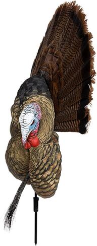 Avian X Turkey Trophy Tom Decoy & Taxidermy Mounting Kit in Saudi Arabia