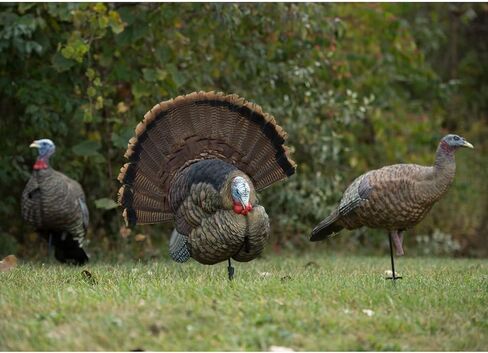 Avian X Turkey Trophy Tom Decoy & Taxidermy Mounting Kit in Saudi Arabia