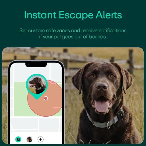 Greenlight Safe Pets - GPS Tracker for Dogs with Escape Alerts | Water Resistant Silicone Case, Safe Zone Alerts, Up to 30-Day Battery Life | Subscription Required in Saudi Arabia