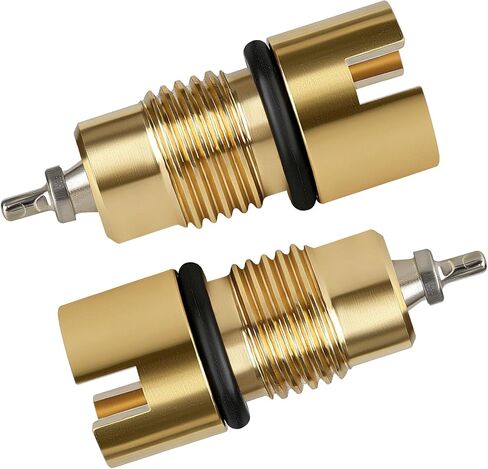 Upgraded Check Valve and Air Stem Assembly for Coleman Lantern & Stove - Brass Pump Repair Kit Compatible with 200-6381, Improved Sealing - 2 Pack in Saudi Arabia