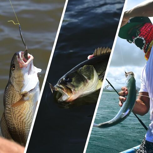 20pcs Fishing Kit for Fishing, Trout Bait Lures Hook Kit for Trout Bass Salmon Panfish in Saudi Arabia