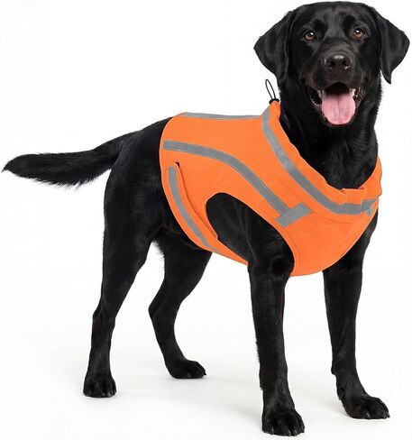 ASENKU Reflective Dog Vest, High Visibility Adjustable Hunting Vest for Pets, Dog Safety Vest for Night Walking and Outdoor Use, Green, M in Saudi Arabia