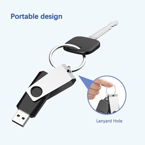 RAOYI 32GB USB 2.0 Flash Drive Swivel Metal Memory Stick Thumb Drive for Data Storage (Black) in Saudi Arabia