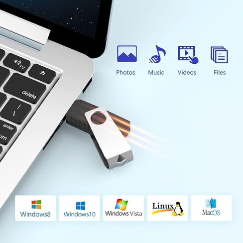 RAOYI 32GB USB 2.0 Flash Drive Swivel Metal Memory Stick Thumb Drive for Data Storage (Black) in Saudi Arabia