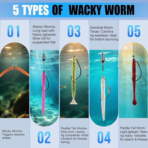 PLUSINNO Fishing Lures, 220PCS Bass Fishing Kit with Wacky Worm, Soft Plastic Baits, Fishing Hooks, Weights & Accessories, Wacky Rig Kit Fishing Gear Gifts for Men with Tackle Box in Saudi Arabia