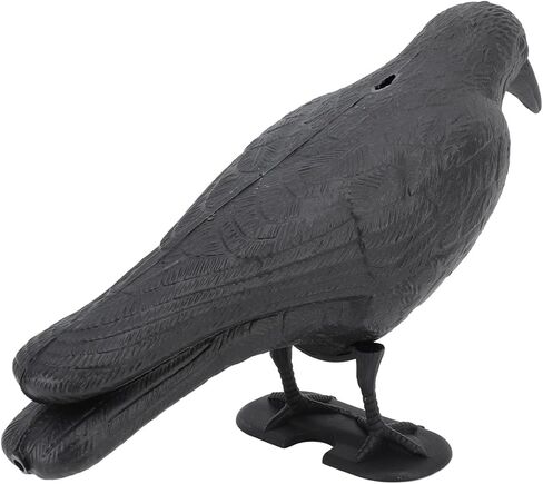Crow Decoy Archery Target PE 3D Standing Crow Statue Realistic Practice Bow Decoy for Outdoor Shooting Hunting Garden Decoration in Saudi Arabia