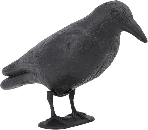 Crow Decoy Archery Target PE 3D Standing Crow Statue Realistic Practice Bow Decoy for Outdoor Shooting Hunting Garden Decoration in Saudi Arabia