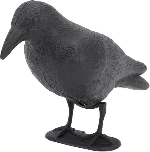 Crow Decoy Archery Target PE 3D Standing Crow Statue Realistic Practice Bow Decoy for Outdoor Shooting Hunting Garden Decoration in Saudi Arabia