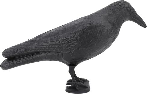 Crow Decoy Archery Target PE 3D Standing Crow Statue Realistic Practice Bow Decoy for Outdoor Shooting Hunting Garden Decoration in Saudi Arabia