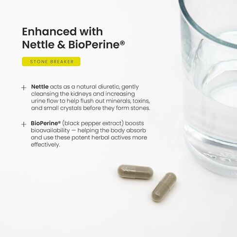 NutraChamps Chanca Piedra Stone Breaker – Kidney Stone Dissolver Support & Gallbladder Cleanse Supplement – Calcium Oxalate Balance & Detox for Urinary Tract Supplement with Nettle Leaf in Saudi Arabia