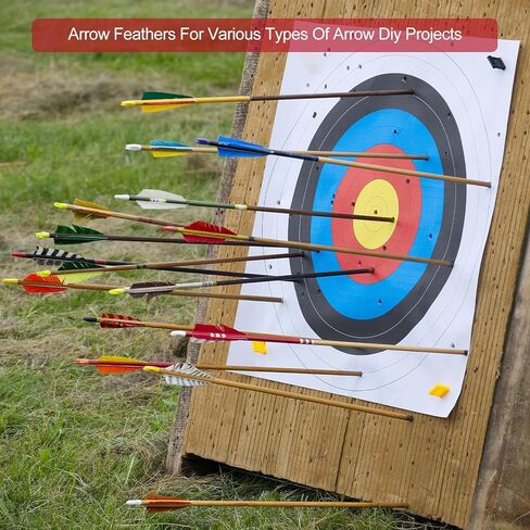 PATIKIL Arrow Vanes Turkey Feather Fletching Shield Cut Archery Fletch Right Wing for Hunting Target Shooting in Saudi Arabia