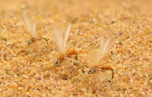 12 Flies - Sulphur Dry Fly - Great for Trout - Choose Hook Size in Saudi Arabia