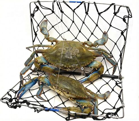 AirFly Foldable Castable Crab Trap - Crab Hawk & Crab Jaw Star Trap with Bait Clip - Portable Fishing Rod Crab Pot for Blue Crabs & Dungeness - Designed in USA (2 Trap + 3 Line Kit) in Saudi Arabia