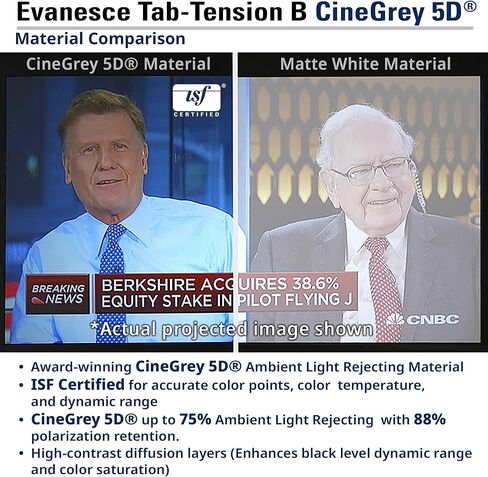 Elite Screens Evanesce Tab-Tension B CineGrey 5D, 126-inch 16:9, in Ceiling Concealed Electric Motorized Drop Down Projector Screen w Ambient Light Rejecting CG5D Projection Material, ETB126HD5-E10 in Saudi Arabia