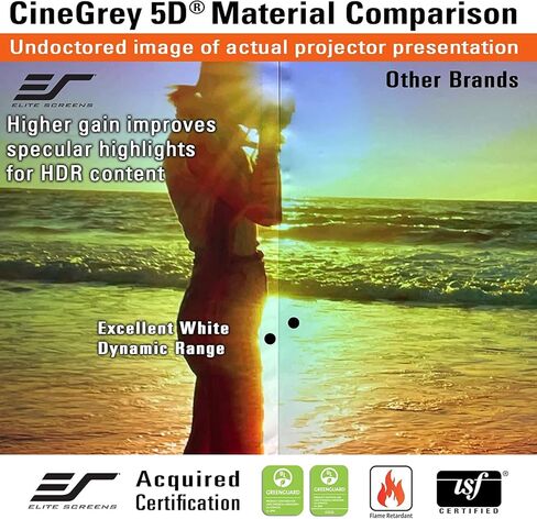 Elite Screens Evanesce Tab-Tension B CineGrey 5D, 126-inch 16:9, in Ceiling Concealed Electric Motorized Drop Down Projector Screen w Ambient Light Rejecting CG5D Projection Material, ETB126HD5-E10 in Saudi Arabia