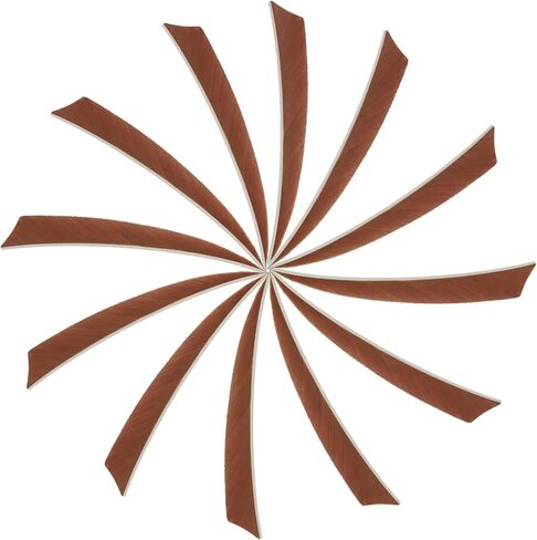 Arrow Vanes Turkey Archery Arrows Feather Fletching Right Wing Fit for Hunting Target Shooting in Saudi Arabia