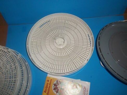 Nesco American Harvest FD-61 Snackmaster Encore Dehydrator and Jerky Maker, Garden, Lawn, Maintenance in Saudi Arabia