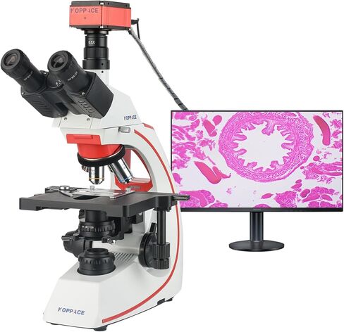 155X-3870X Research Grade Electron Biological Microscope with 8.3 Megapixel 4K Camera in Saudi Arabia