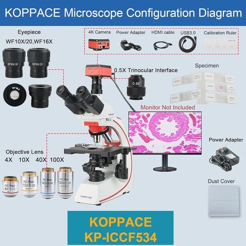 155X-3870X Research Grade Electron Biological Microscope with 8.3 Megapixel 4K Camera in Saudi Arabia