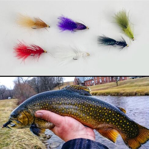 65Pcs Fly Fishing Flies Kit Dry Wet Nyphms Streamer Wooly Bugger Copper John Hand-Tied Fishing Flies Assortment Kit with Fly Box in Saudi Arabia