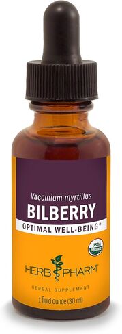 Herb Pharm Bilberry Liquid Extract for Eye and Vision Support - 1 Ounce in Saudi Arabia
