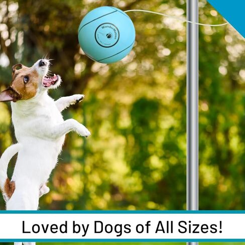 كرة وحبل Tetherball الناعمة من WonderMotion مع خطاف دوار - مجموعة كرات وحبال للأطفال والبالغين والكلاب كمعدات كرة Tetherball جديدة أو كرة بديلة لكرة Tetherball من أجل لعبة ممتعة في الفناء الخارجي in Kuwait