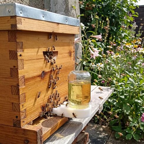 AukBeeFun 8 Pack Bee Feeders for Hives Mason Jar Sugar Water Feeder for Bees in Saudi Arabia