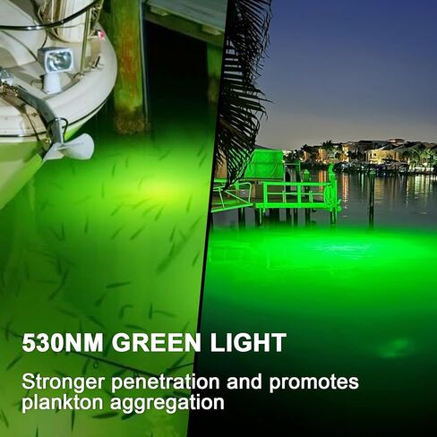 Underwater Fishing Light 60W 7500LM, 530nm Green Submersible Fish Attractant Light with 30FT Cord, 100–240V AC to 12V DC Adapter, Alligator Clip Cable, 40FT Safety Cable, for Night Fishing, Dock, Boat in Saudi Arabia